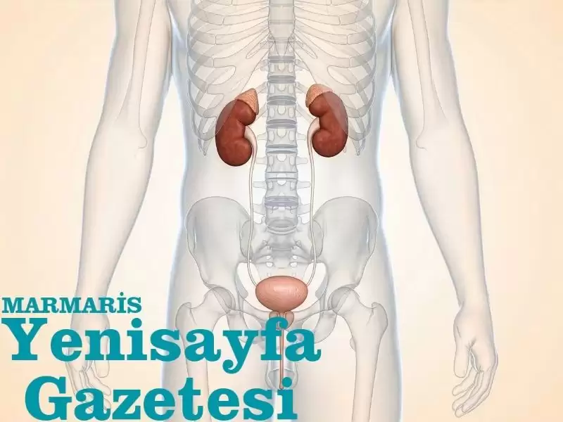 Üroloji hastalarının hayatını kolaylaştıran tedavi: ‘Mesane pili’ - Yeni Sayfa Gazetesi